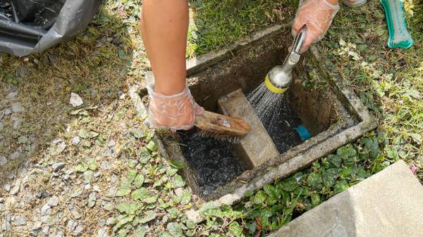 What to Look for When Hiring a Drain Cleaning Service