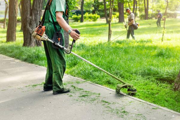 Landscaping Maintenance Services for Chicago Homeowners